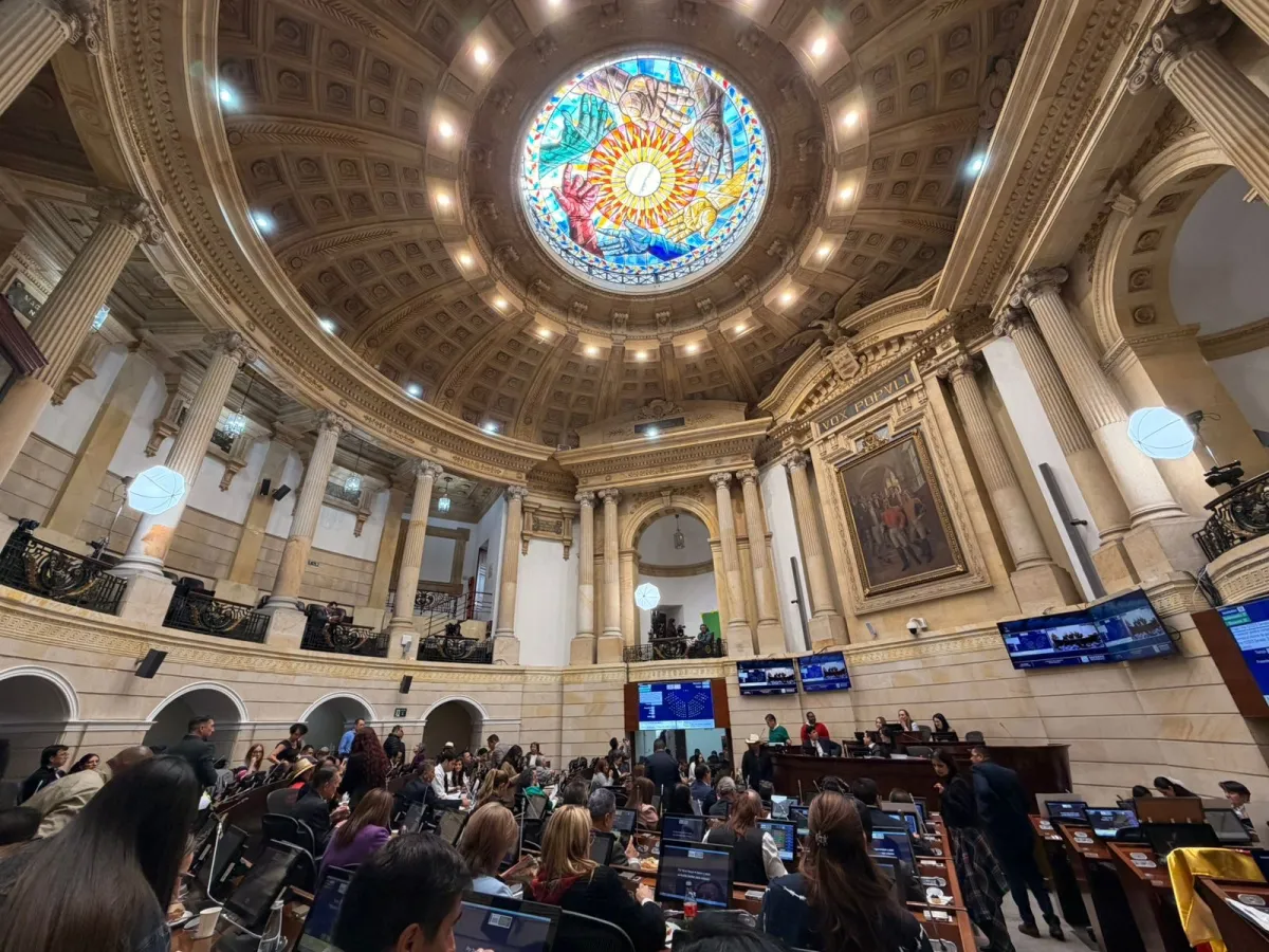 Senado controlará decretos de emergencia económica del Gobierno Petro.