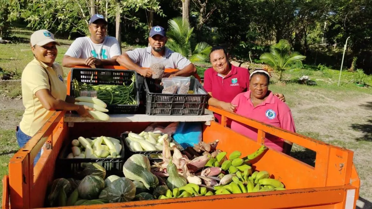 Alcaldía de Providencia entrega mercados a abuelos y comunidad rural.
